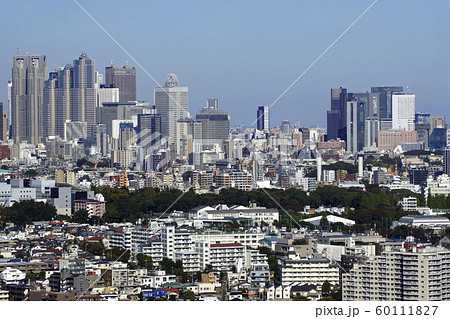 世田谷から見た新宿のビル群 世田谷から見た新宿のビル群 60111827