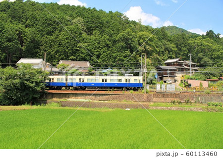 新緑の中を走る能勢電車 60113460