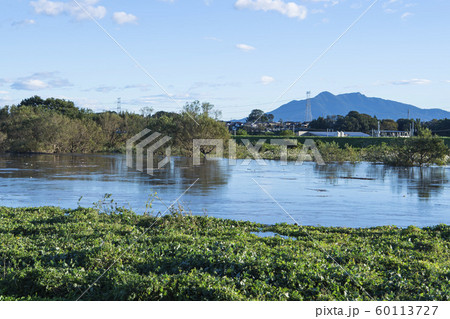 小貝川 2019年 台風 小貝川 2019年 台風 60113727