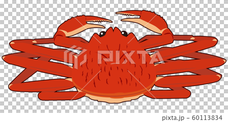 ズワイガニ フチあり02 ズワイガニ フチあり02 60113834