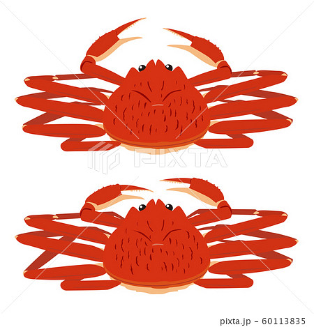 ズワイガニ フチなし 2体セット 60113835
