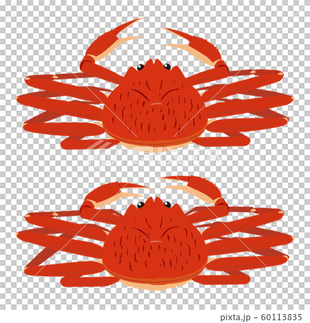 ズワイガニ フチなし 2体セット 60113835