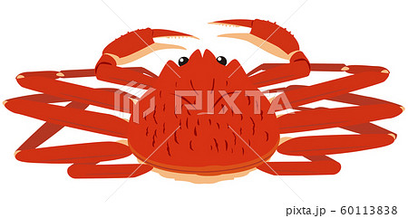 ズワイガニ フチなし02 60113838