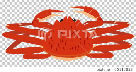 ズワイガニ フチなし02 60113838