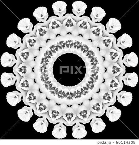 Floral kaleidoscopic pattern. Monochrome geometric ornament . Mandala . Abstract black and white background Floral kaleidoscopic pattern. Monochrome geometric ornament . Mandala . Abstract black and white background 60114309