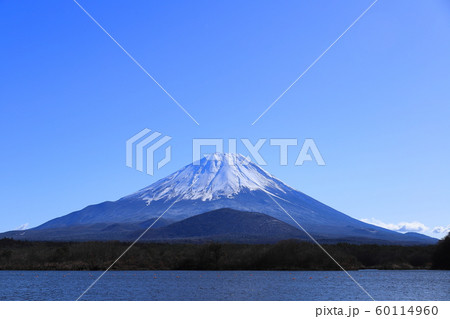 精進湖から見た富士山 60114960