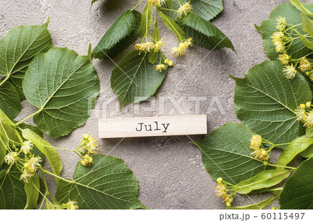 Flowers and leaves of linden tree 60115497