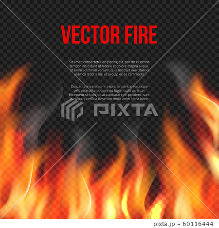 Fire background. Light of blazing flame on transparent background vector explosion vector template 60116444