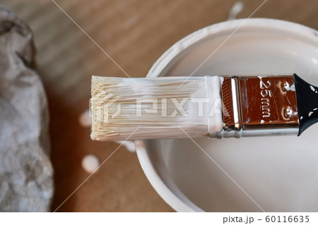 Paint brush on a can of white wall paint 60116635