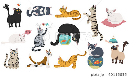 Cartoon Cat Characters Collection Different Cat Sのイラスト素材