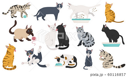 Cartoon Cat Characters Collection Different Cat Sのイラスト素材