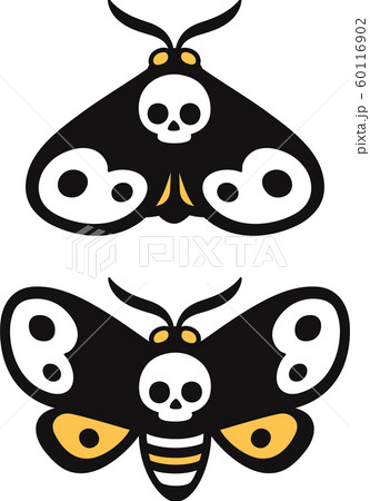 Death's head moth 60116902