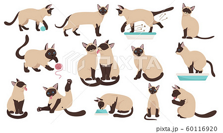 Cartoon Cat Characters Collection Different Cat Sのイラスト素材