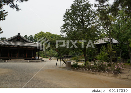 唐招提寺 60117050