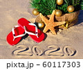 New Year 2020 on the beach. Christmas tree with 60117303