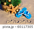 New Year 2020 on the beach. Christmas tree, 60117305