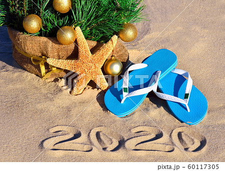 New Year 2020 on the beach. Christmas tree, 60117305