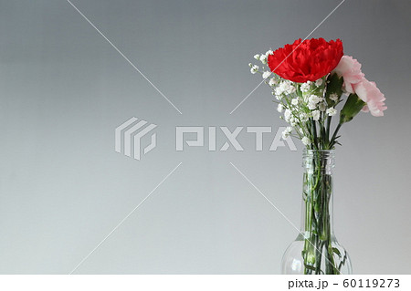 カーネーションとカスミソウの花束 カーネーションとカスミソウの花束 60119273
