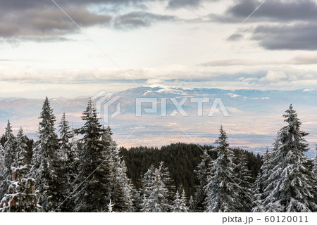 Winter landscape of the mountain. 60120011