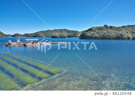 【伊勢志摩国立公園の海岸線】 三重県度会郡南伊勢町迫間浦 60120548