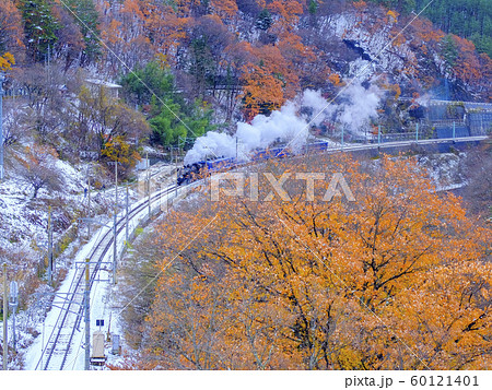 晩秋のSL3 晩秋のSL3 60121401