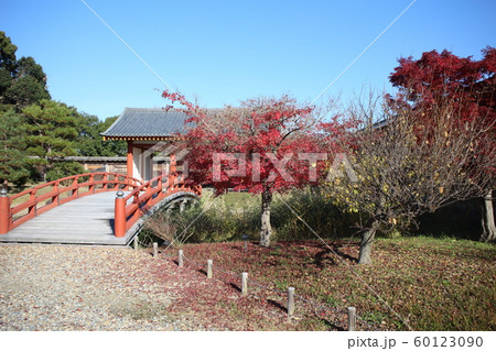 平城宮跡　東院庭園 60123090