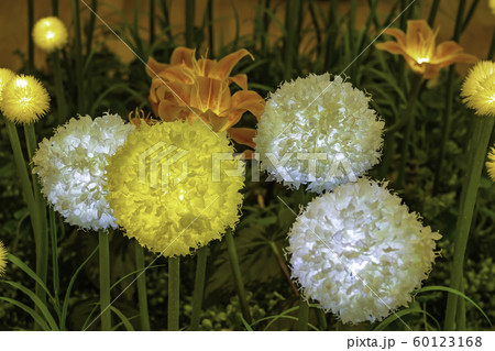 花 調和 照明 60123168