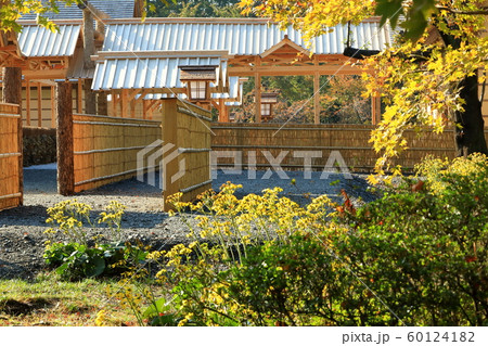 皇居東御苑　大嘗祭　大嘗宮一般公開　右側面後方 60124182