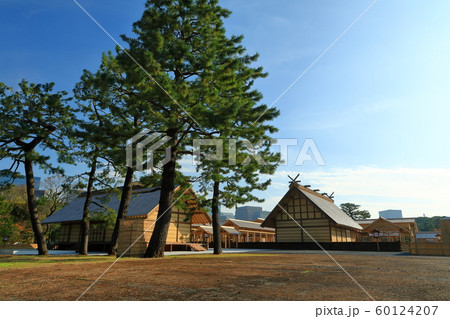 皇居東御苑　大嘗祭　大嘗宮一般公開　左側面後方 60124207