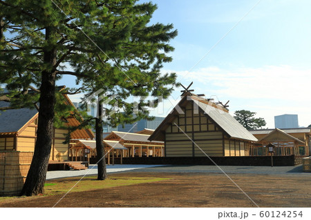 皇居東御苑　大嘗祭　大嘗宮一般公開　左側面後方 60124254