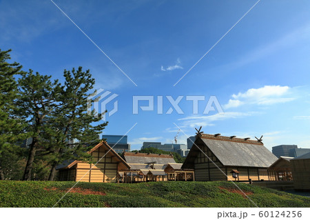 皇居東御苑　大嘗祭　大嘗宮一般公開　左側面後方 60124256