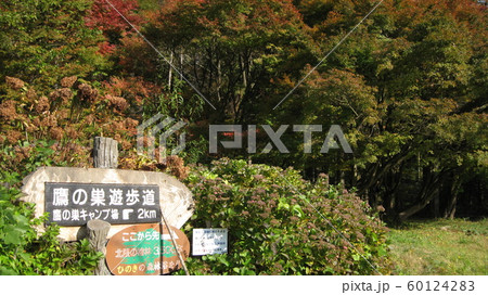 新潟県関川村の丸山公園から鷹の巣遊歩道へ 60124283