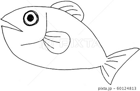 魚　【手描き】【アナログイラスト】【線画】 60124813