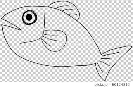 魚　【手描き】【アナログイラスト】【線画】 60124813
