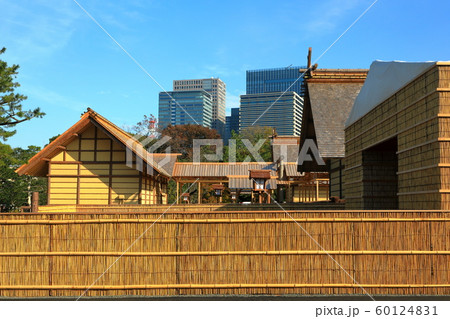 皇居東御苑　大嘗祭　大嘗宮一般公開　左側面 60124831