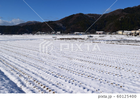 雪が積もった水田 60125400