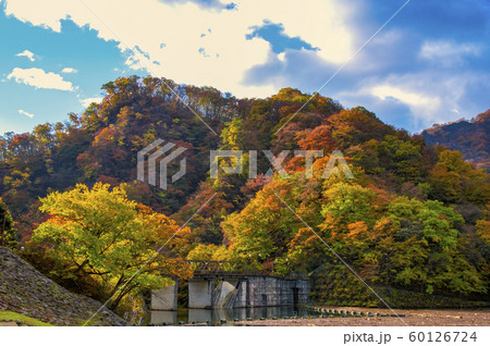 紅葉の碓氷湖 60126724