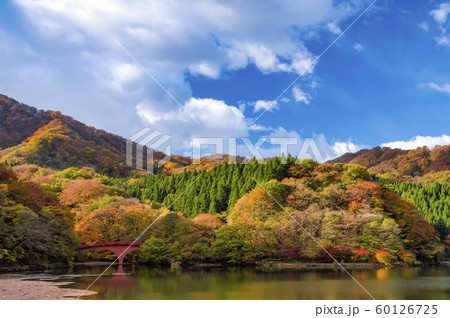 紅葉の碓氷湖 紅葉の碓氷湖 60126725