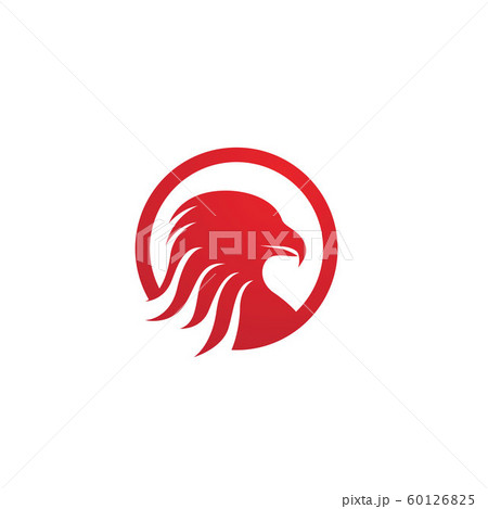 Eagle head Logo Template vector 60126825