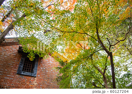 三重県　桑名　諸戸氏庭園の秋の一般公開日　煉瓦作りの蔵の壁 60127204