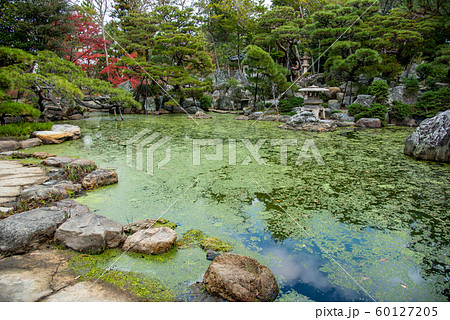 三重県　桑名　諸戸氏庭園の秋の一般公開　紅葉の庭 60127205
