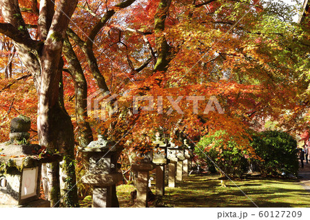 談山神社 談山神社 60127209