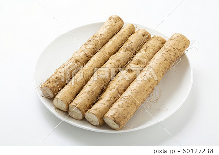 自然薯 自然薯 60127238