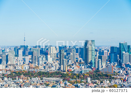 東京シティービュー 渋谷から六本木青山霊園 スカイツリー方向の眺望の写真素材