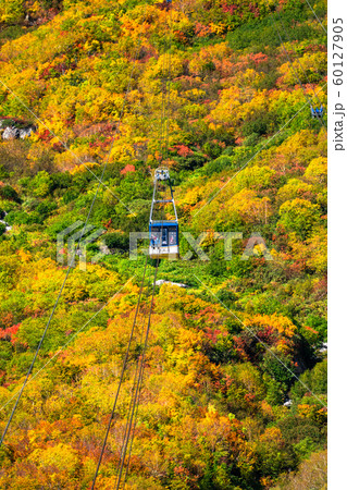 《富山県》紅葉の黒部平・立山黒部アルペンルート 60127905