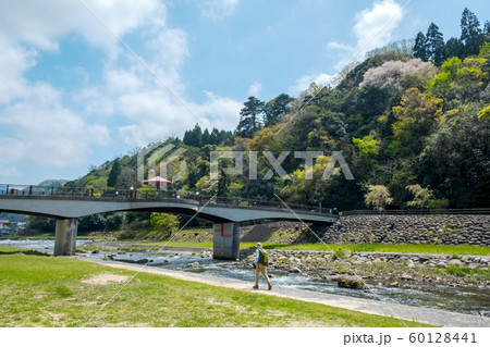三朝温泉 初夏　新緑 60128441