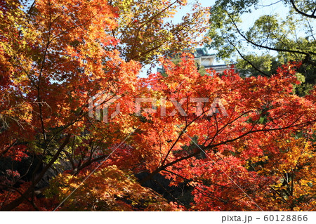 紅葉渓庭園 60128866