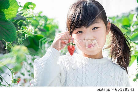 笑顔でいちごを持つ女の子の写真素材