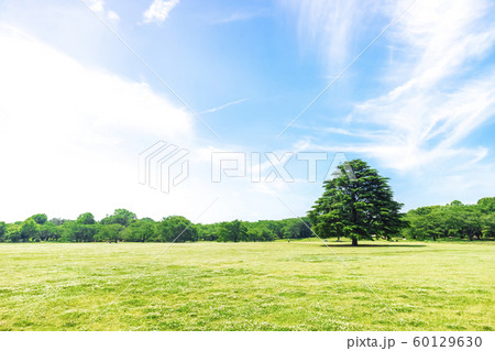 緑と青空の広がる風景 60129630