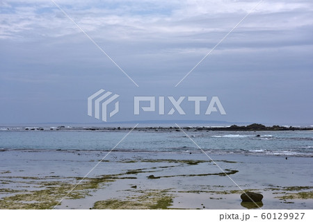 冬の海岸線 冬の海岸線 60129927